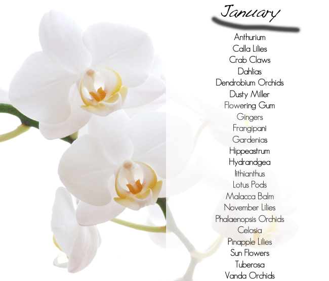 What flowers are in season, January
