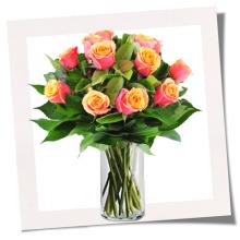 Roses they love