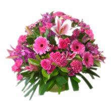 Traditional Pink