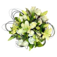 White Style